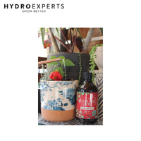 Complete Grow Indoor Plant Food Fertiliser - [Size: 500ML]