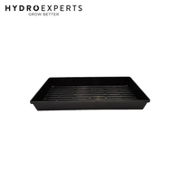 Mondi Propagation Kit - [Option: Tray+ Mesh + Dome]