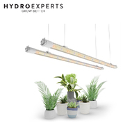 Mars Hydro VG80 Propagation & Clone LED Bar - 2 x 40W | Non-Dimmable | IP65 | 115CM