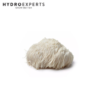 Mushroom Experts Liquid Culture 10ML Syringe - Lion’s Mane (Hericium Erinaceus)