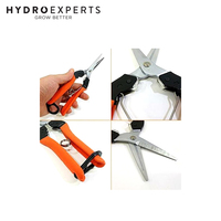 Saboten Harvesting Shears PT-6 | Made in Japan