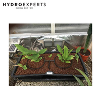 Nutriculture Flo-Gro Double Dripper System - 50L Tank Volume | 103CM x 54CM x 33CM
