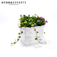 Plastia Berberis UNO 45CM Self-Watering Flower Box - White