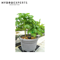 Autopot Smart Dripper | Includes Smart Valve | Low Drip Rate