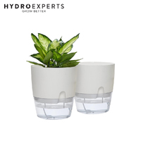 Self Watering 100MM Wicking Pot - White