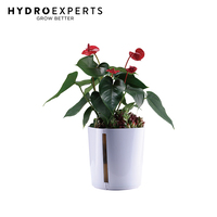 Pro Leaf  LED Flower Pot | BFP-G1