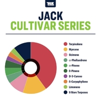 True Terpenes Jack - 5ML | Cultivar Series