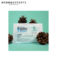 Integra Boost 67g 62% Terpene Essentials - Pinene [Number of Pack: 1]