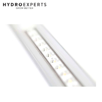 SanLight FLEX II 2 x 10W | Clone LED Grow Light
