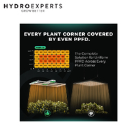 Mars Hydro LED Grow Light - FC4000-EVO | True Watt 320W