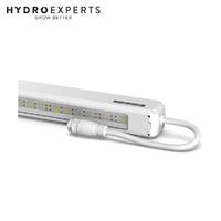Luxx Lighting LED Grow Light Bar - 200W | 80R | 80% Red | Dimmable | 124CM