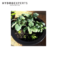 PondMAX Wine Barrel Pond - 710 x 350MM | 100L | Wine Barrel Liner