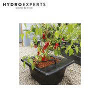 Nutriculture Flo-Gro Single Dripper System - 16L Tank Volume | 56CM x 46CM x 28CM