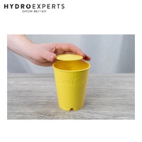 BudTrainer BudCups - Yellow | Self-Draining Containers