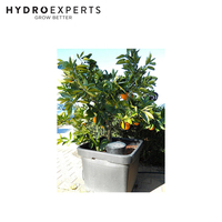 Autopot Smart Dripper | Includes Smart Valve | Low Drip Rate