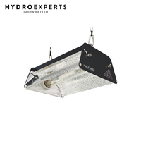 Hi-Par Dynamic Reflector - [Option: Dynamic E40 Reflector Only]