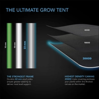 AC Infinity Cloudlab 816 Indoor Advance Grow Tent - 300 x 150 x 200CM | 2000D Mylar