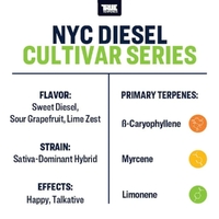 True Terpenes NYC Diesel - 5ML | Cultivar Series