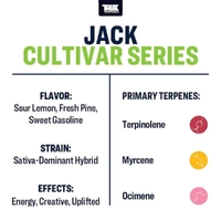 True Terpenes Jack - 5ML | Cultivar Series