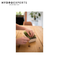 Micropod Micro Snips | Perfect Tool for Harvesting