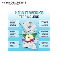 Integra Boost 67g 62% Terpene Essentials - Terpinolene [Number of Pack: 1]