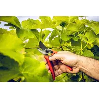 Lowe No.14 (14.104) Compact Bypass Pruner | Cuts up to 22MM Diameter | Made in Germany