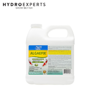 API Pond Care Algaefix - 237ML