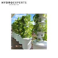 Airgarden Aeroponic Vertical Garden Kit - 60CM x 1.5M | 30 Grow Cups