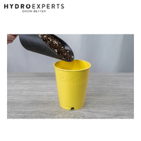 BudTrainer BudCups - Yellow | Self-Draining Containers