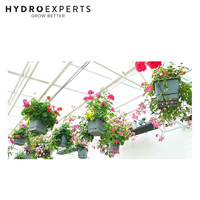 AutoPot Square Pot - Hanging Basket | Smart Valve | Hanging Chain