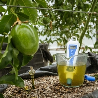 Bluelab pH PenPlus - Replaceable Probe IP68 Waterproof Digital pH Meter