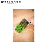 Micropod Micro Snips | Perfect Tool for Harvesting