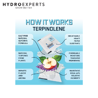 Integra Boost 4g 62% Terpene Essentials - Terpinolene [Number of Pack: 1]