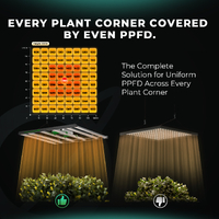 Mars Hydro LED Grow Light FC6500 EVO - 730W | 2.9umol/J | Dimmable