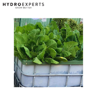 WaterUps IBC Wicking Bed Kit (with Supporting Frames)