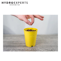 BudTrainer BudCups - Yellow | Self-Draining Containers
