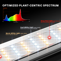 Spider Farmer LED Grow Light SE3000 EVO - 300W | 2.85 umol/J | Dimmable | IP44