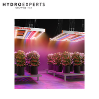 Spider Farmer Ultra-Violet (UV) Supplemental LED Grow Light Bar - 60CM | 2 x 15W