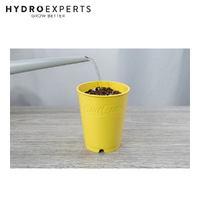 BudTrainer BudCups - Yellow | Self-Draining Containers