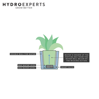 Autopot Smart Okid Pot - [Colour: Black]
