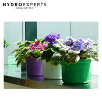 Autopot Mini Smart Pot - [Colour: Grey]