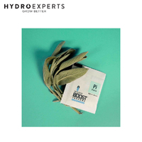 Integra Boost 4g 62% Terpene Essentials - Pinene [Number of Pack: 12]