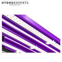 Lumatek LED Grow Light ATS 300W Pro - 300W | 2.7 µmol/J | Dimmable | IP65