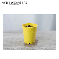 BudTrainer BudCups - Yellow | Self-Draining Containers