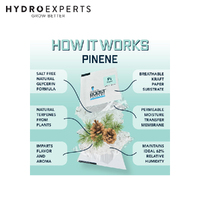 Integra Boost 4g 62% Terpene Essentials - Pinene [Number of Pack: 12]
