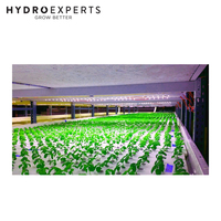 Viparspectra LED Grow Light Pro Series P2000 - 250W | Dimmable