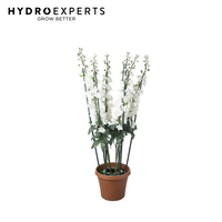 Global Garden Friends Adjustable Ultimate Plant Cage - Easy Setup & Excellent Plant Support