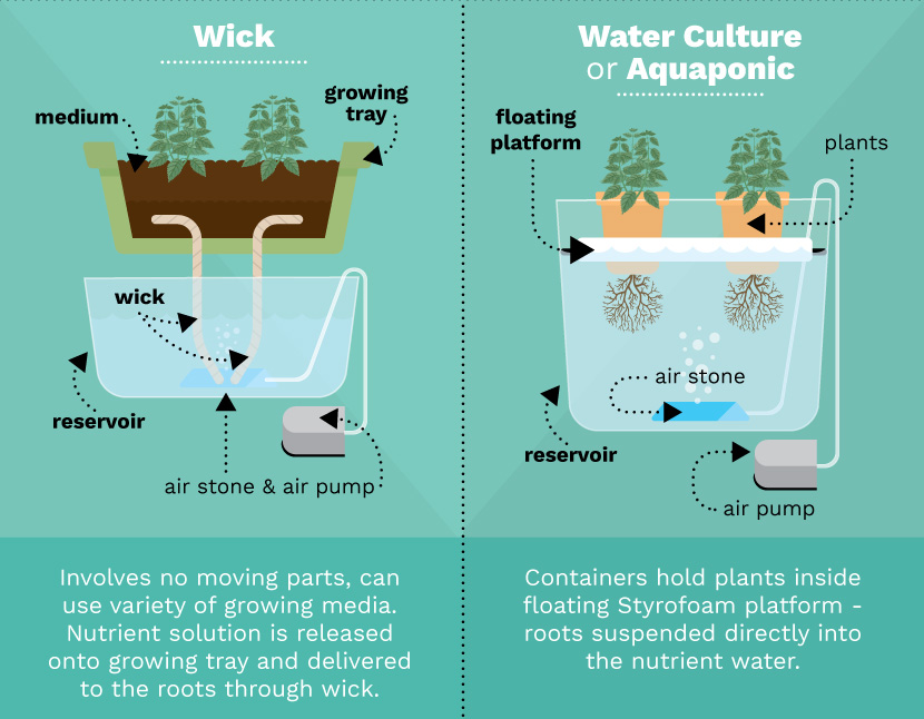 6 Basic Types of Hydroponic Systems