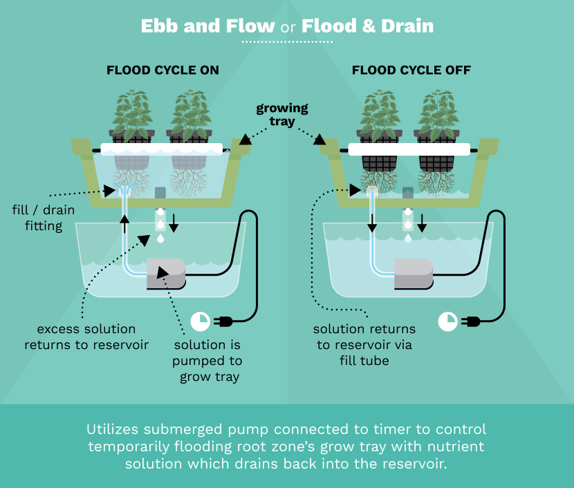 Hydroponic System Explained at Stanley Blake blog