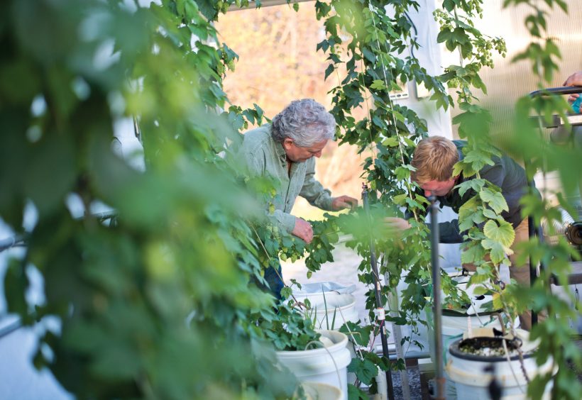 Hydroponics the way for future farming